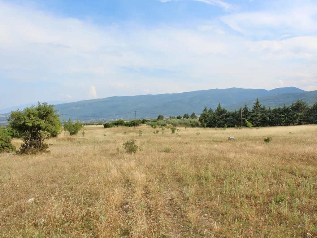 οικόπεδο προς πώληση 11850 τ.μ Δίον Νομός Πιερίας