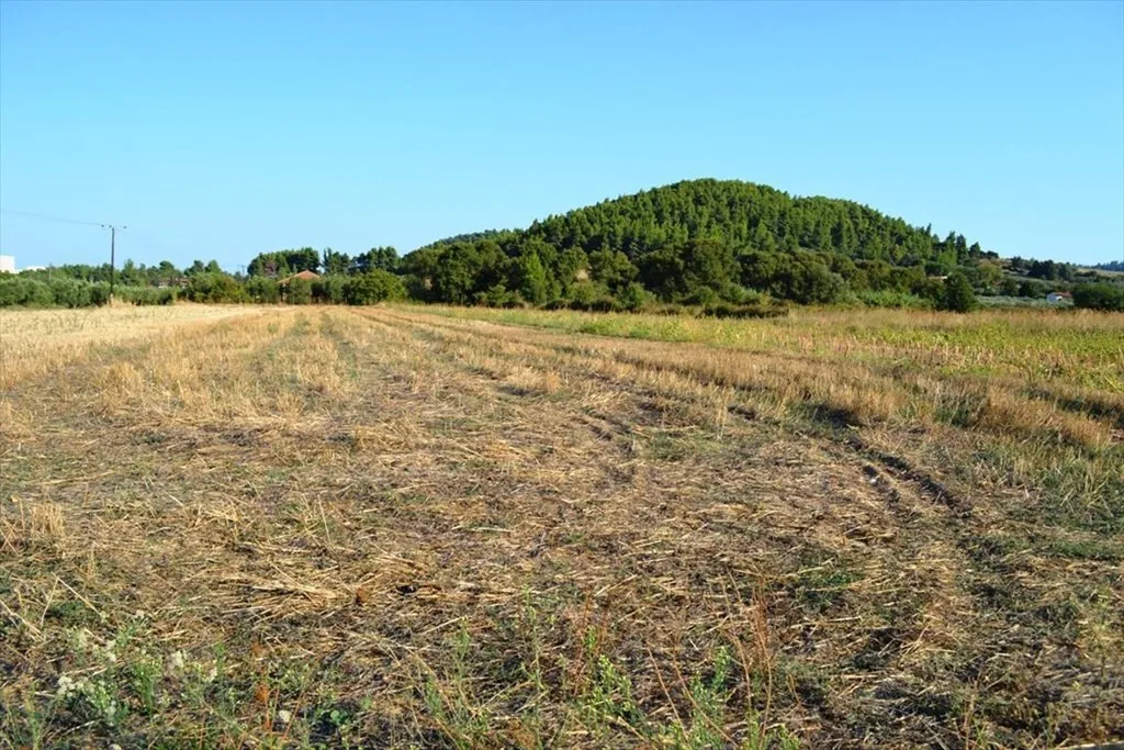 οικόπεδο προς πώληση 8250 τ.μ Κασσάνδρα Χαλκιδική