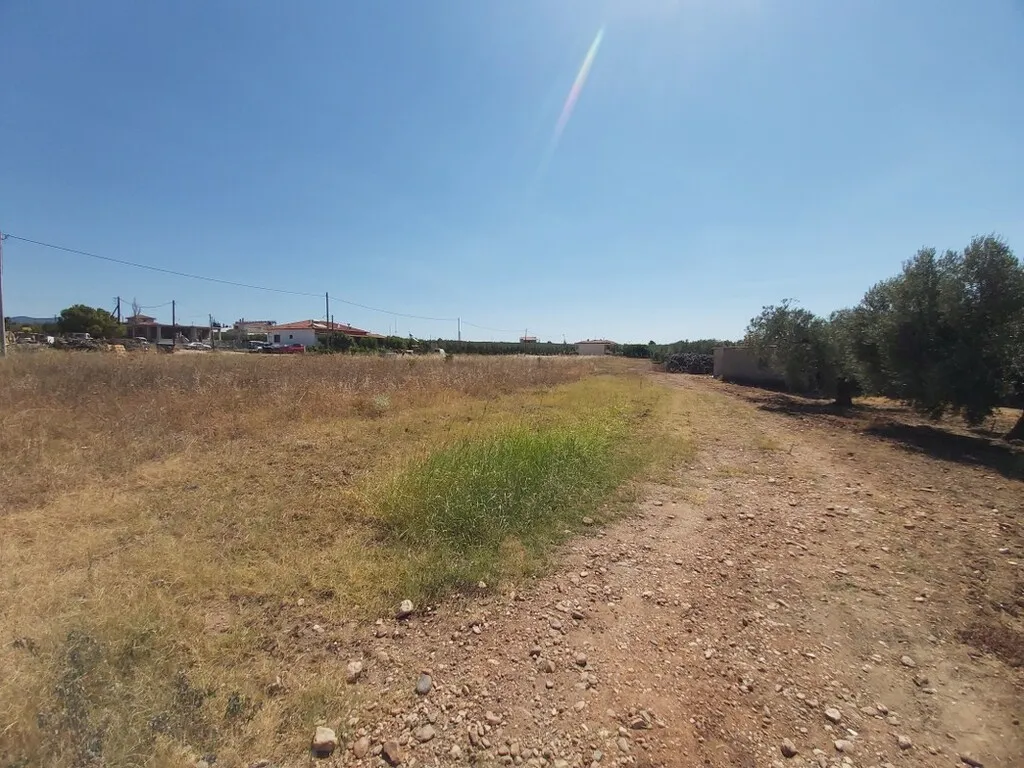 οικόπεδο προς πώληση 12300 τ.μ Πολύγυρος Χαλκιδική