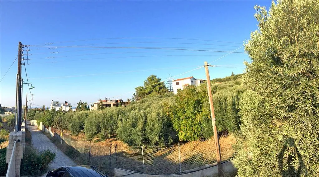 οικόπεδο προς πώληση 3200 τ.μ Τέμενος Νομός Ηρακλείου