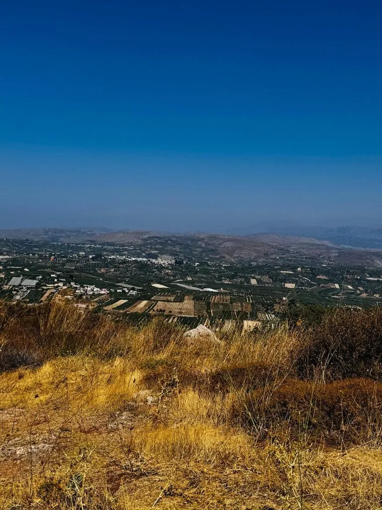 οικόπεδο προς πώληση 2500 τ.μ Αρχάνες Νομός Ηρακλείου