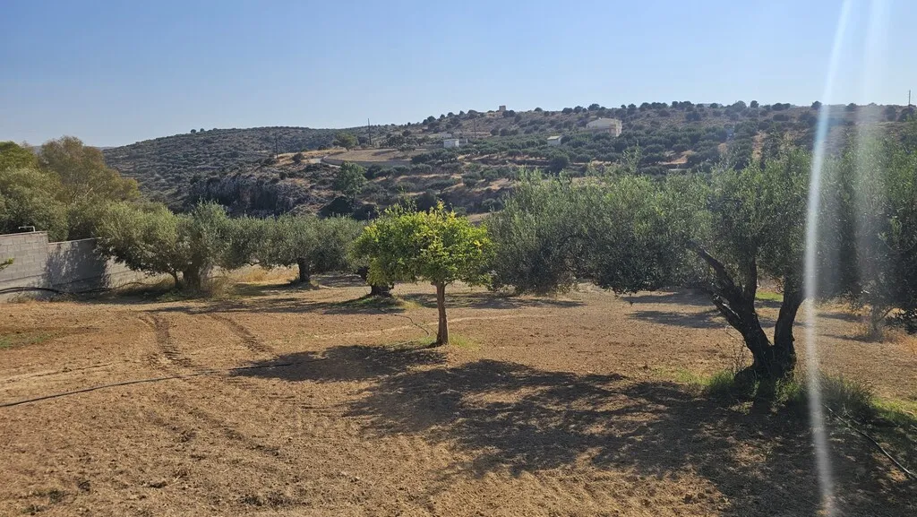 οικόπεδο προς πώληση 1124 τ.μ Γούβες Νομός Ηρακλείου
