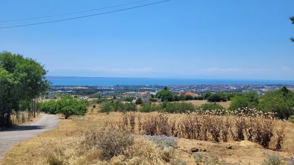 οικόπεδο προς πώληση 7000 τ.μ Πανόραμα Προάστια Θεσσαλονίκης