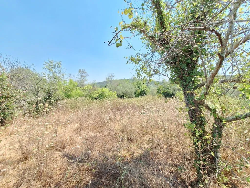 οικόπεδο προς πώληση 3400 τ.μ Κέρκυρα Νομός Κέρκυρας