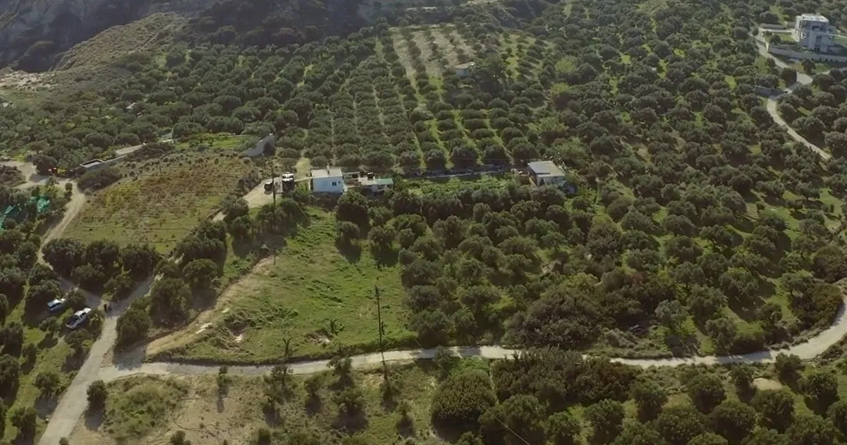 οικόπεδο προς πώληση 4100 τ.μ Σητεία Νομός Λασιθίου