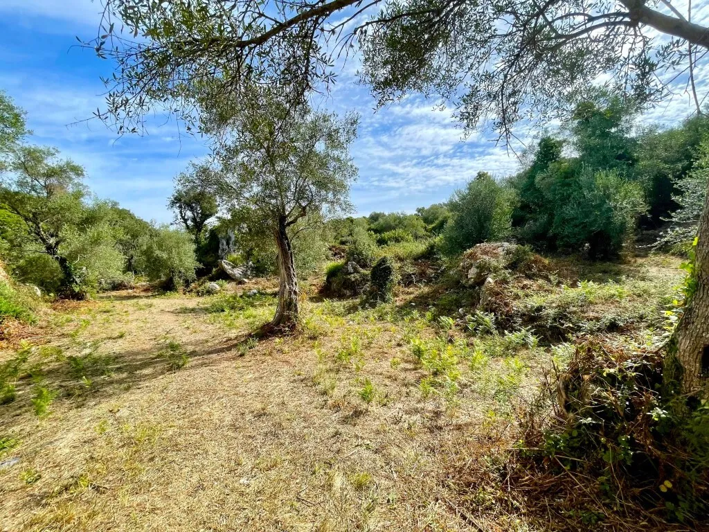 οικόπεδο προς πώληση 4162 τ.μ Κέρκυρα Νομός Κέρκυρας