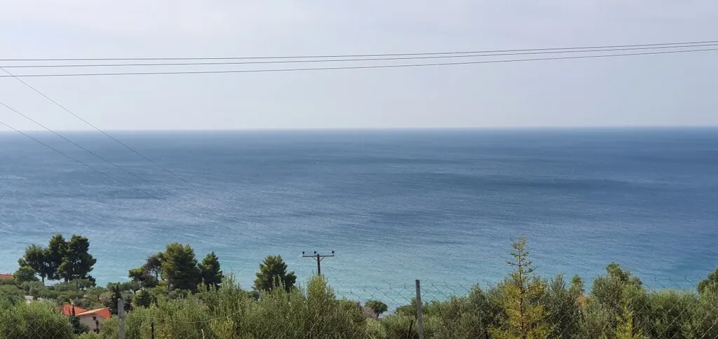 οικόπεδο προς πώληση 4800 τ.μ Κασσάνδρα Χαλκιδική