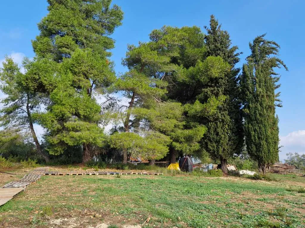οικόπεδο προς πώληση 3500 τ.μ Κέρκυρα Νομός Κέρκυρας