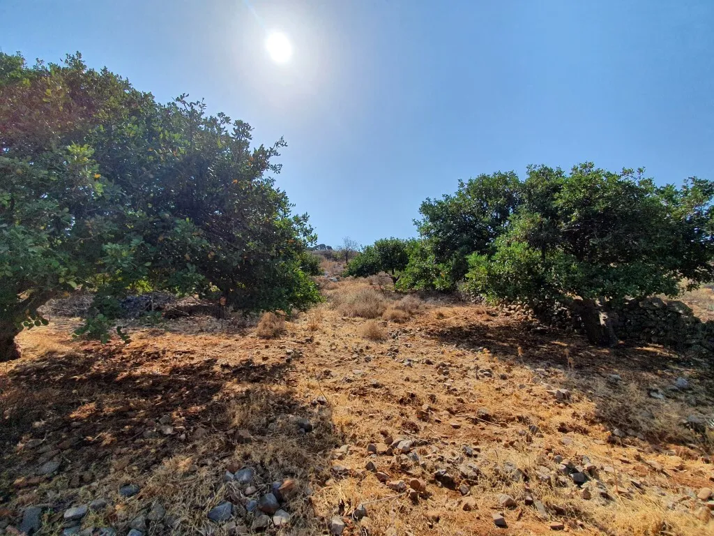 οικόπεδο προς πώληση 2900 τ.μ Άγιος Νικόλαος Νομός Λασιθίου