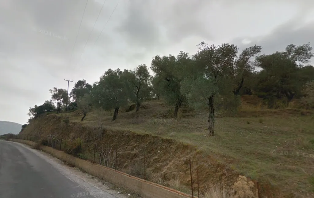 οικόπεδο προς πώληση 24783 τ.μ Λέσβος - Γέρας Νομός Λέσβου