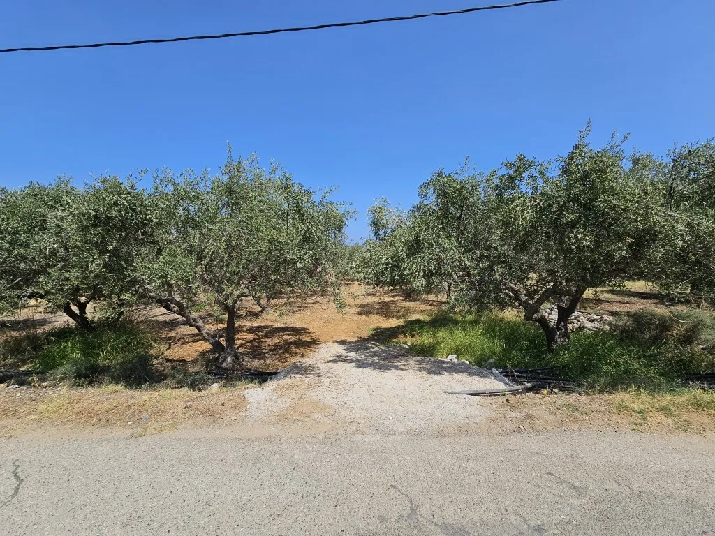οικόπεδο προς πώληση 3700 τ.μ Βραχάσι Νομός Λασιθίου