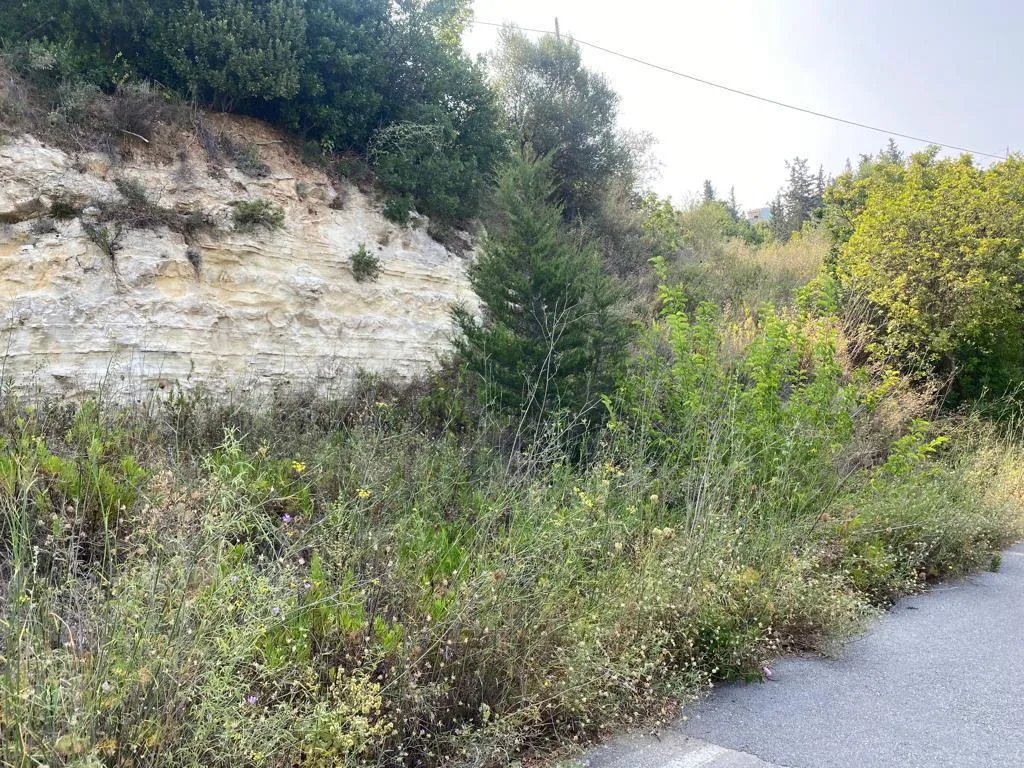 οικόπεδο προς πώληση 3215 τ.μ Βάμος Νομός Χανίων