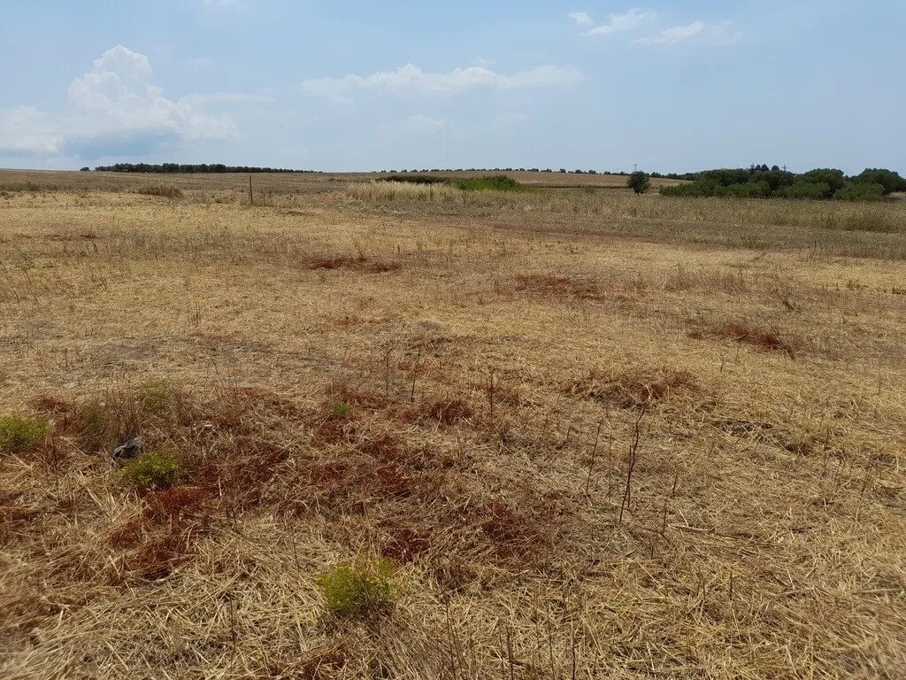 οικόπεδο προς πώληση 370 τ.μ Νέα Προποντίδα Χαλκιδική