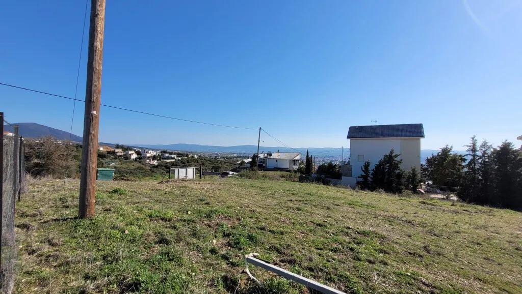 οικόπεδο προς πώληση 3000 τ.μ Πανόραμα Προάστια Θεσσαλονίκης