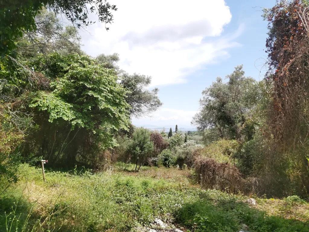 οικόπεδο προς πώληση 700 τ.μ Κέρκυρα Νομός Κέρκυρας