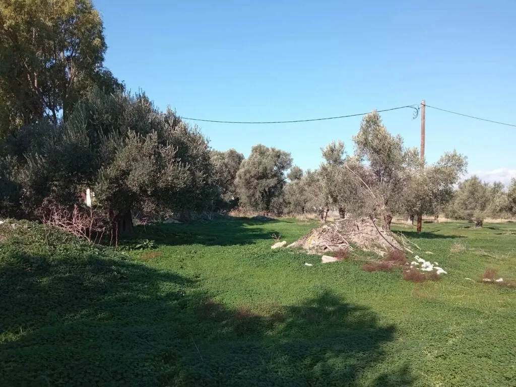 οικόπεδο προς πώληση 14000 τ.μ Τυμπάκι Νομός Ηρακλείου