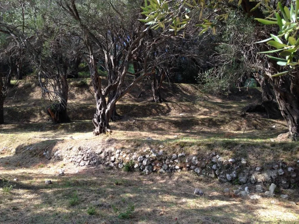 οικόπεδο προς πώληση 6000 τ.μ Κέρκυρα Νομός Κέρκυρας