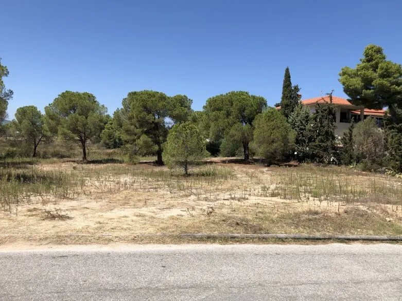 οικόπεδο προς πώληση 2835 τ.μ Σιθωνία Χαλκιδική