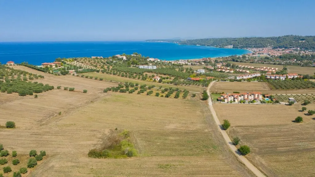 οικόπεδο προς πώληση 9900 τ.μ Κασσάνδρα Χαλκιδική