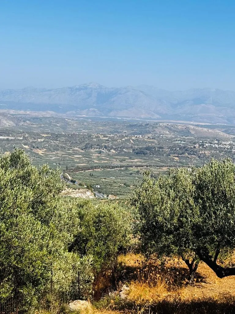 οικόπεδο προς πώληση 2500 τ.μ Αρχάνες Νομός Ηρακλείου