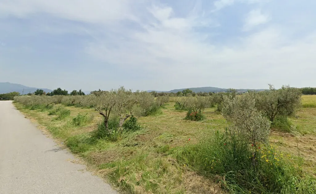 οικόπεδο προς πώληση 5850 τ.μ Θέρμη Προάστια Θεσσαλονίκης