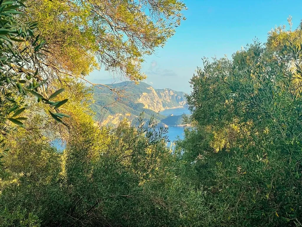 οικόπεδο προς πώληση 196 τ.μ Κέρκυρα Νομός Κέρκυρας