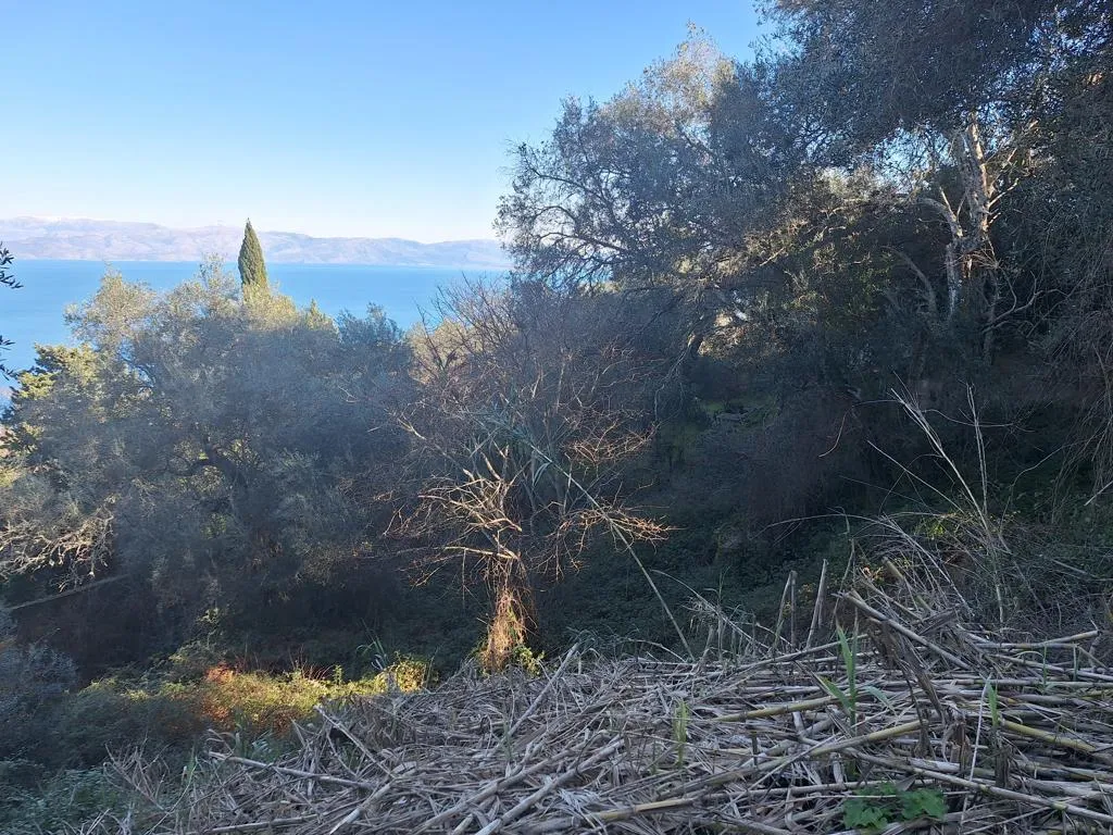 οικόπεδο προς πώληση 2300 τ.μ Κέρκυρα Νομός Κέρκυρας