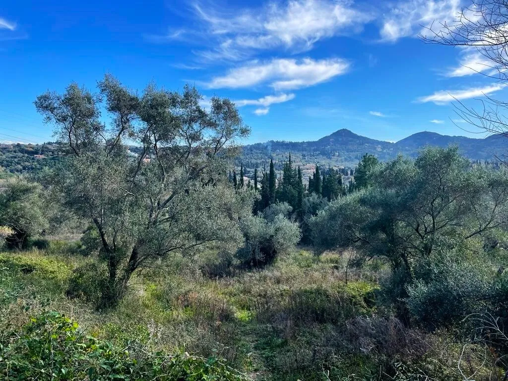 οικόπεδο προς πώληση 8781 τ.μ Κέρκυρα Νομός Κέρκυρας