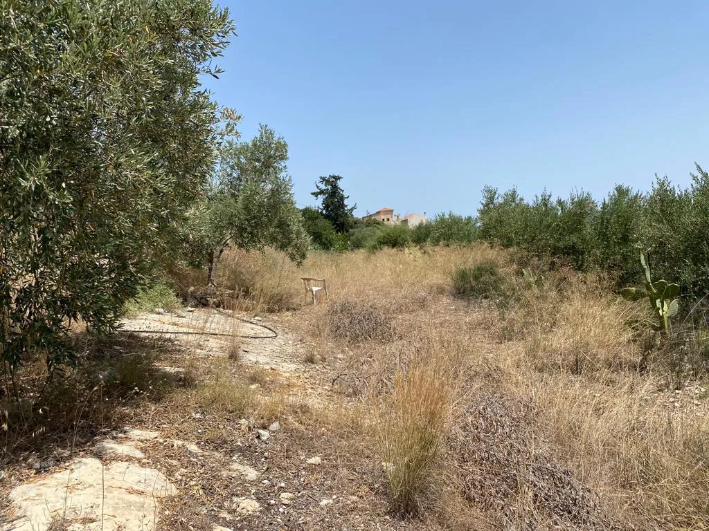 οικόπεδο προς πώληση 5335 τ.μ Αρμένοι Νομός Χανίων