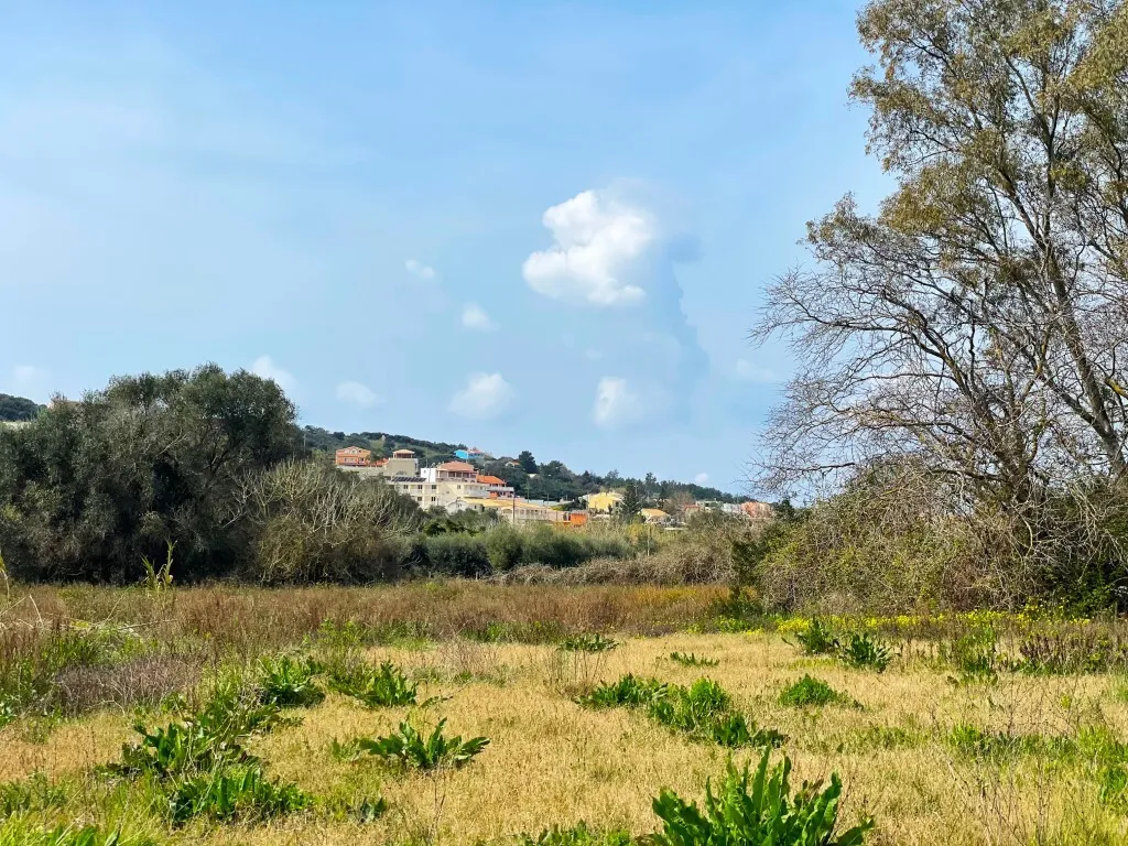οικόπεδο προς πώληση 7497 τ.μ Κέρκυρα Νομός Κέρκυρας