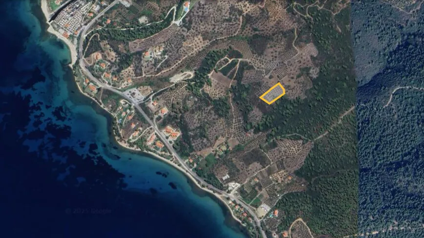 οικόπεδο προς πώληση 4903 τ.μ Σιθωνία Χαλκιδική