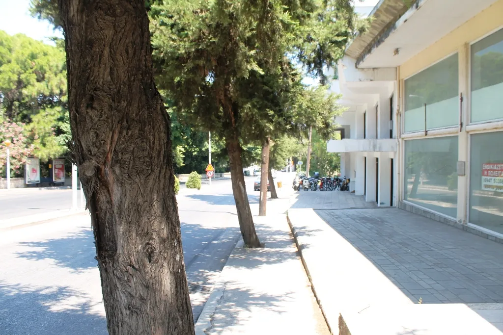 επιχείρηση προς πώληση 3000 τ.μ Ρόδος Δωδεκάνησα