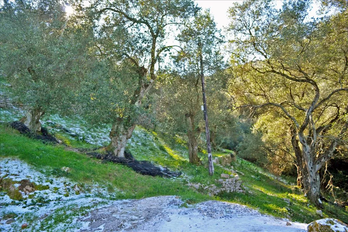 1152