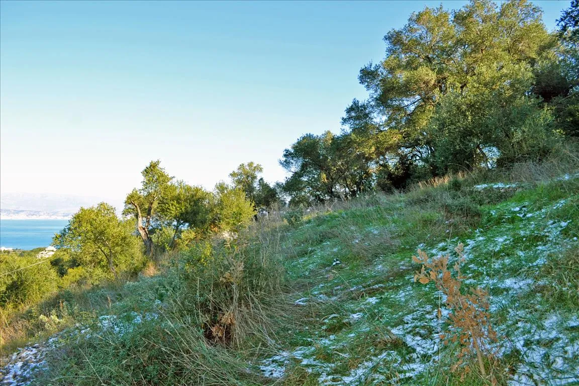 οικόπεδο προς πώληση 7000 τ.μ Κέρκυρα Νομός Κέρκυρας
