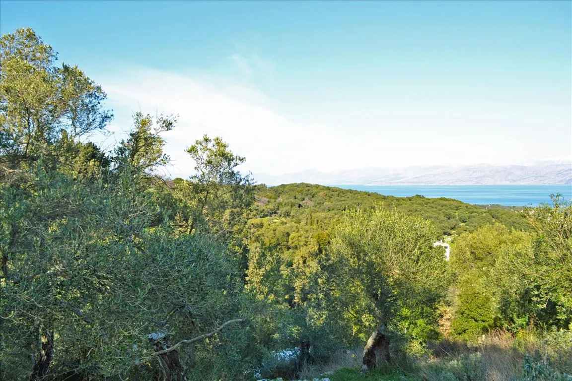 οικόπεδο προς πώληση 7000 τ.μ Κέρκυρα Νομός Κέρκυρας