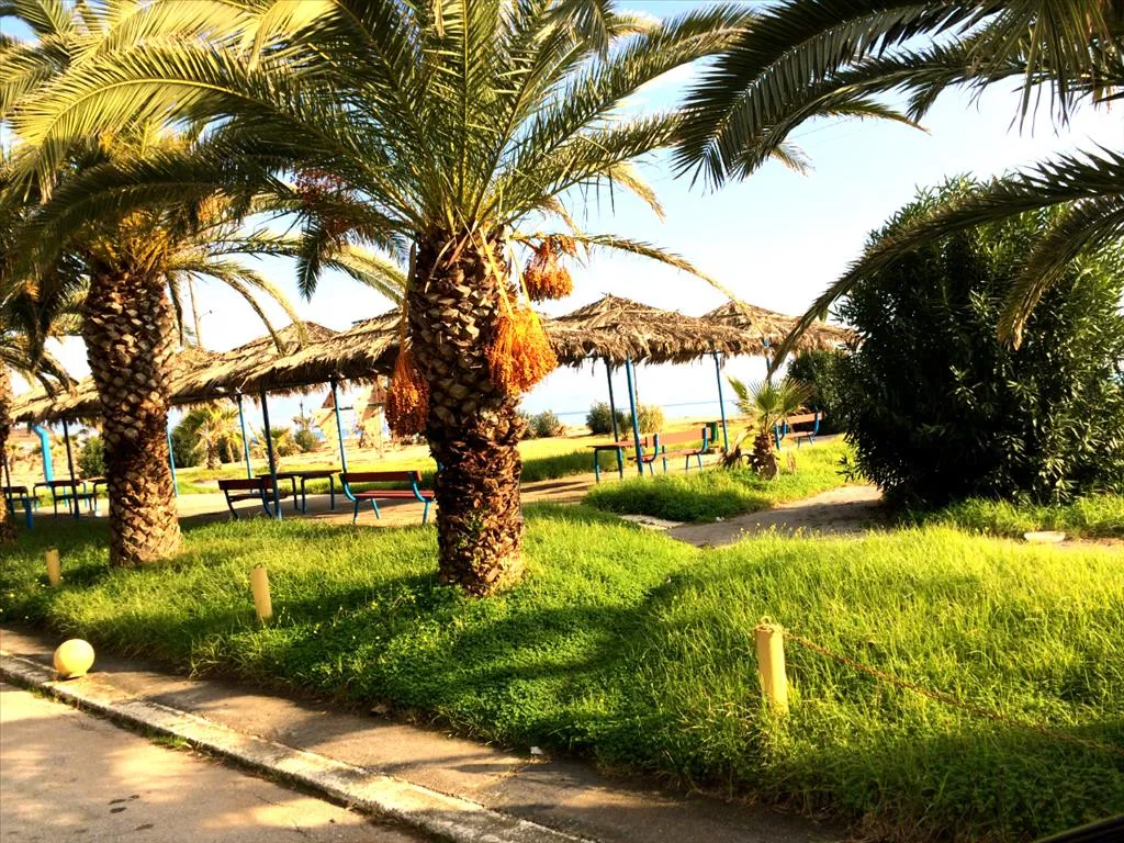 μονοκατοικία προς πώληση 140 τ.μ Μεσσήνη Μεσσηνία