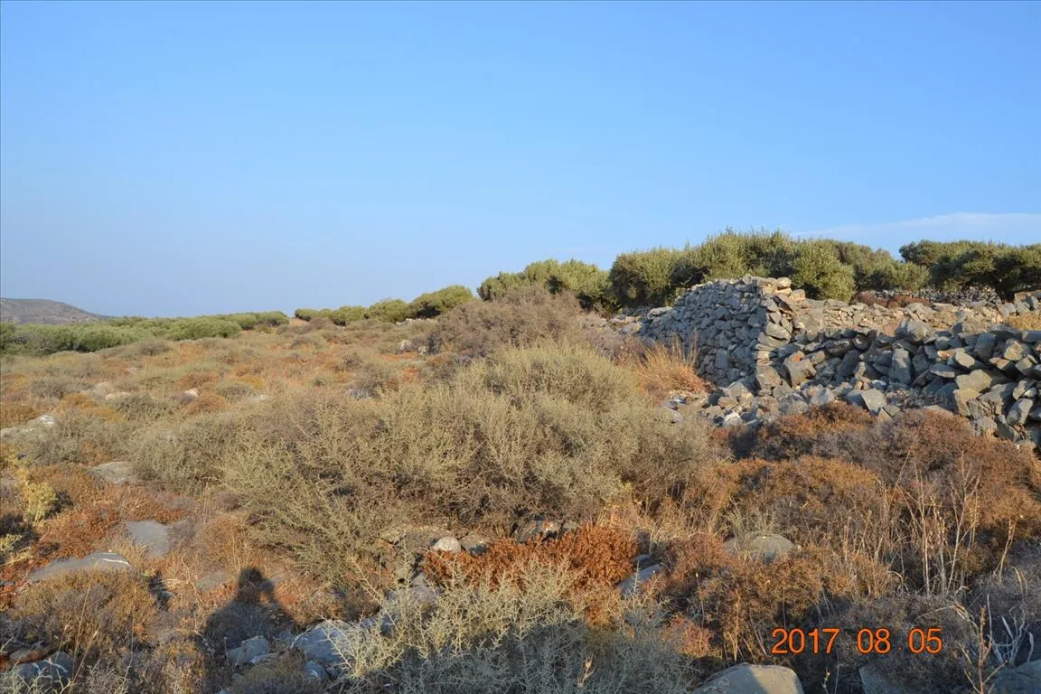 οικόπεδο προς πώληση 6000 τ.μ Άγιος Νικόλαος Νομός Λασιθίου