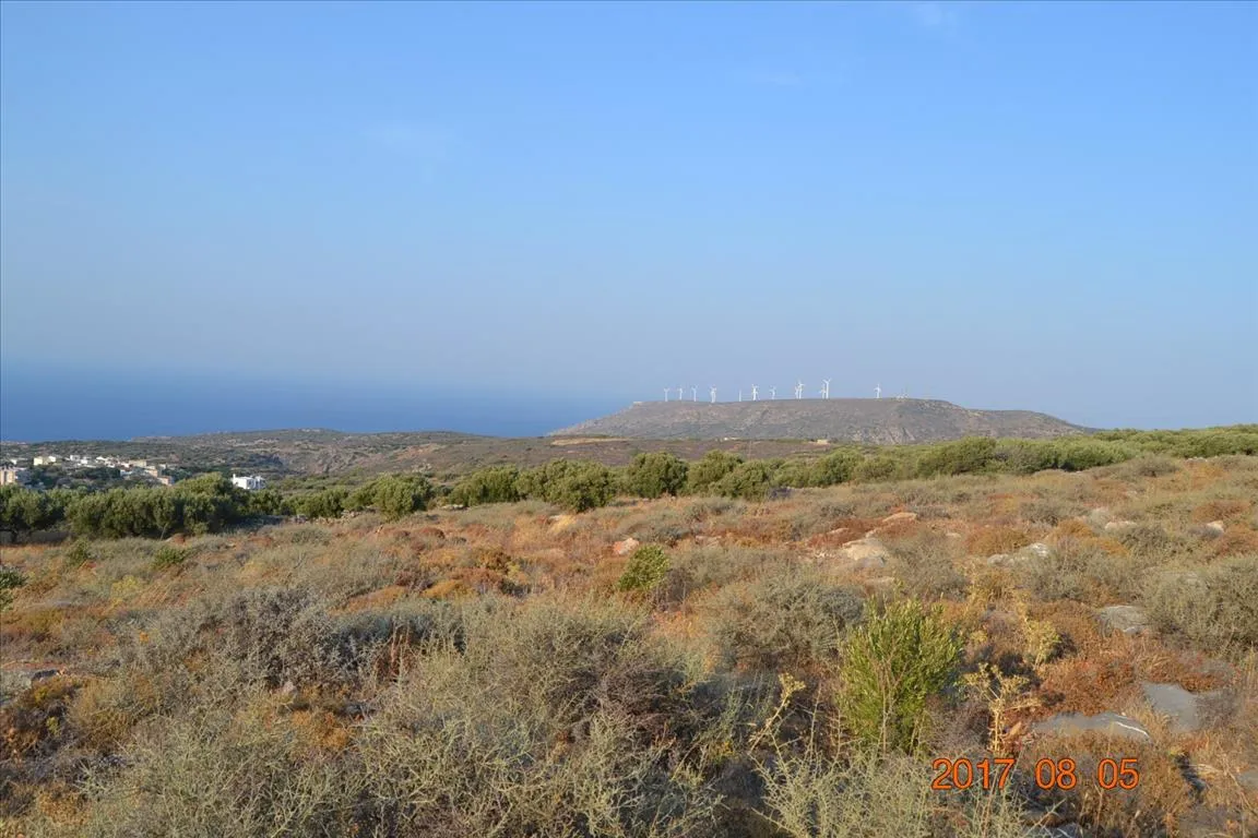 οικόπεδο προς πώληση 6000 τ.μ Άγιος Νικόλαος Νομός Λασιθίου