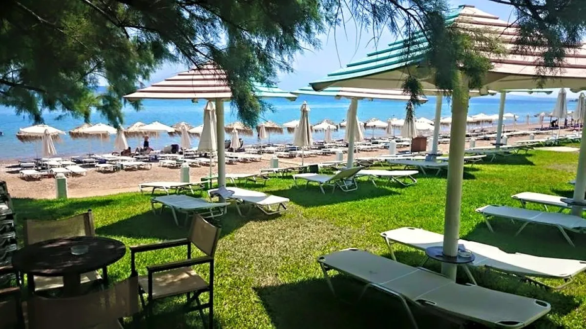 επιχείρηση προς πώληση 6000 τ.μ Παραλία Αχαΐα