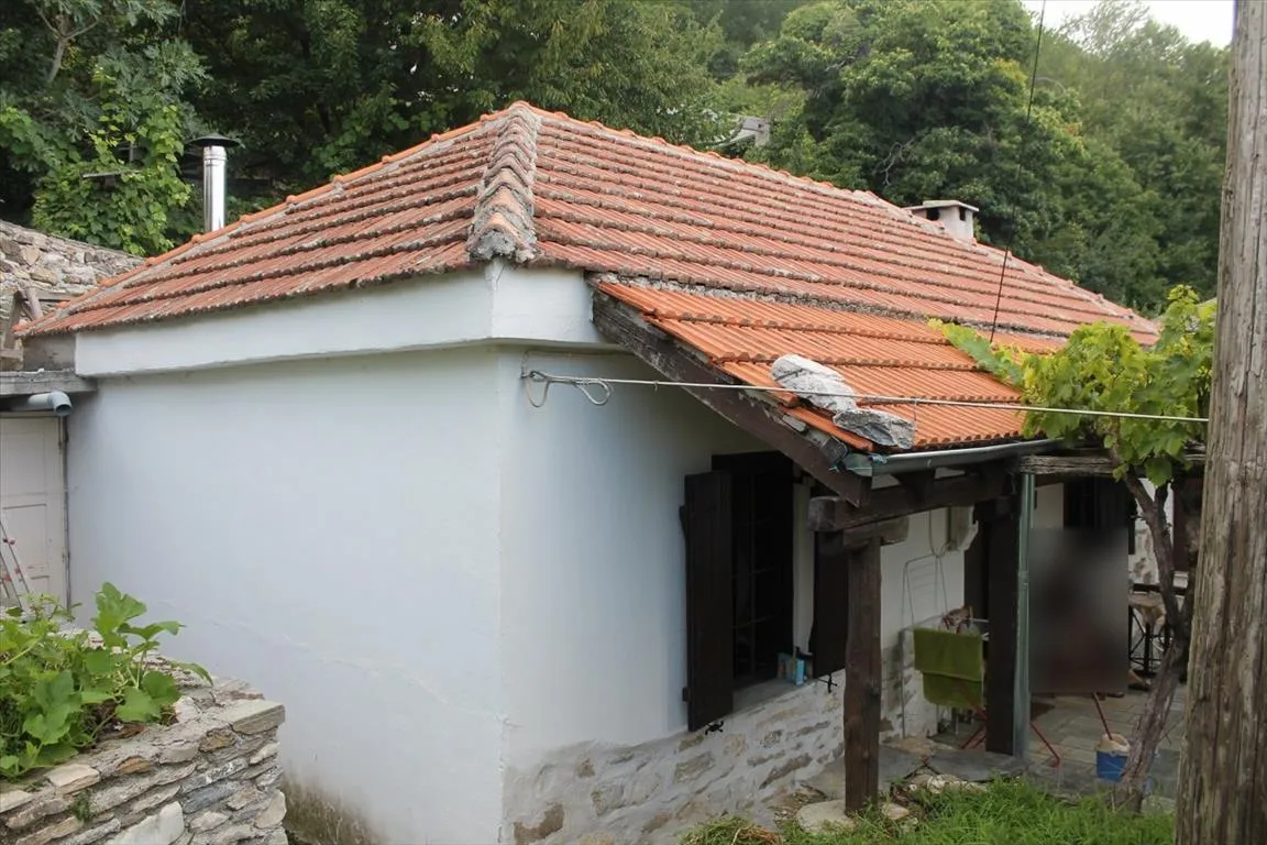μονοκατοικία προς πώληση 70 τ.μ Μηλιές Μαγνησία