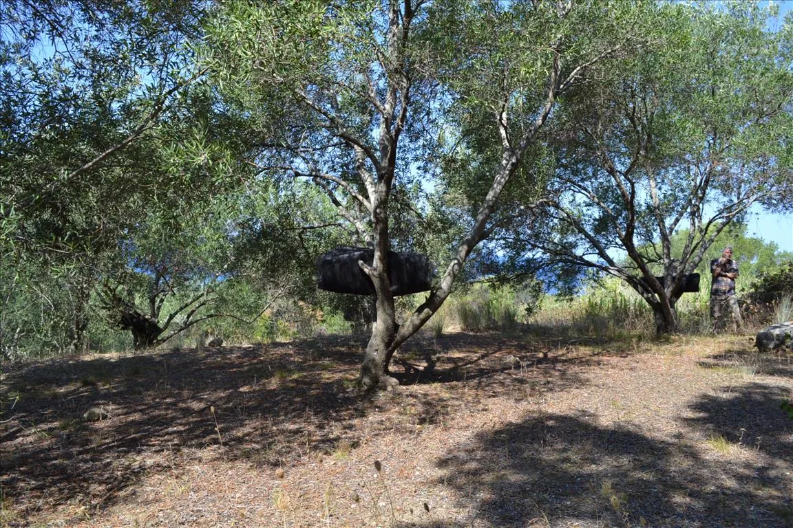 1152