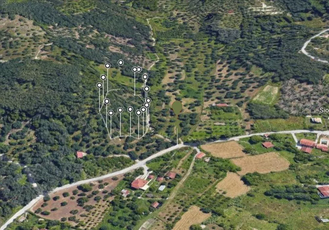 οικόπεδο προς πώληση 4556 τ.μ Κέρκυρα Νομός Κέρκυρας