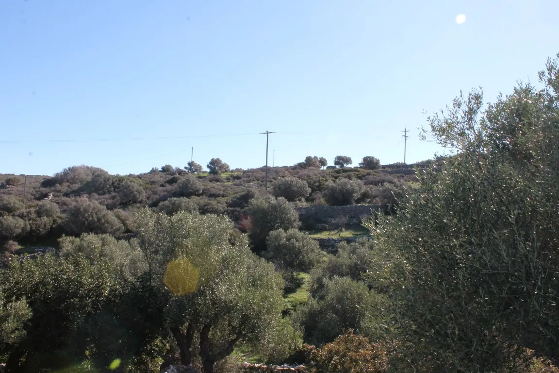 οικόπεδο προς πώληση 5300 τ.μ Άγιος Νικόλαος Νομός Λασιθίου