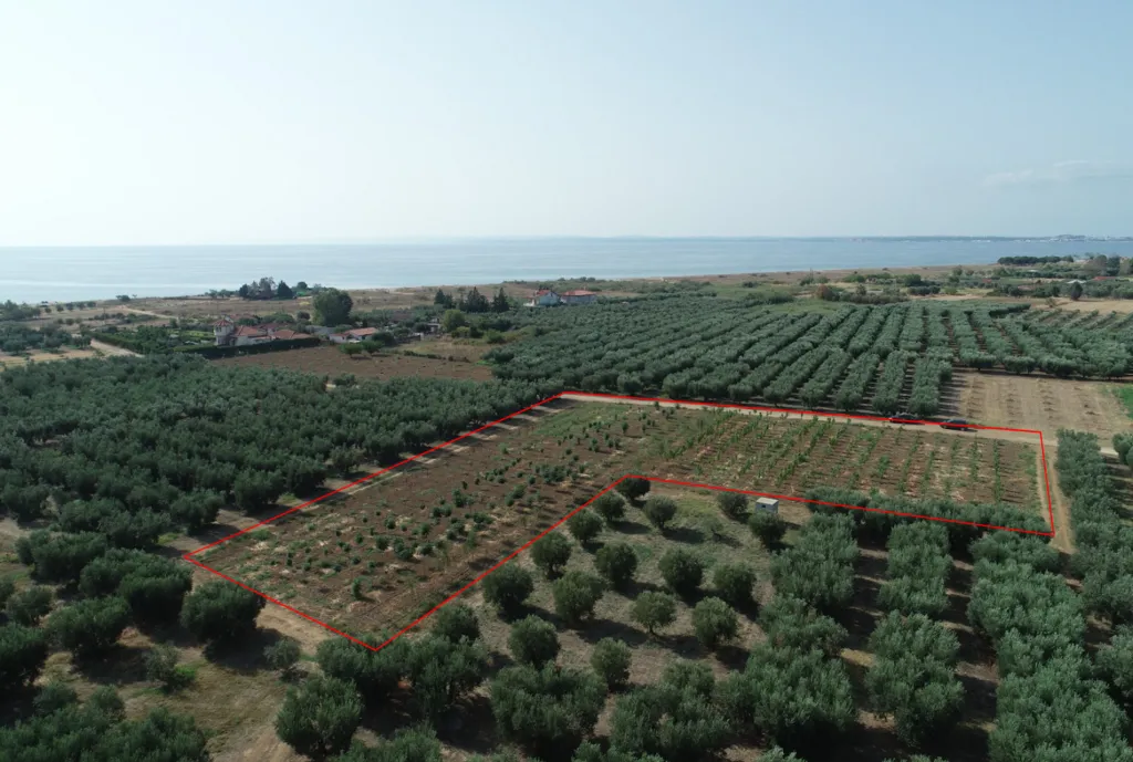 οικόπεδο προς πώληση 4811 τ.μ Νέα Προποντίδα Χαλκιδική