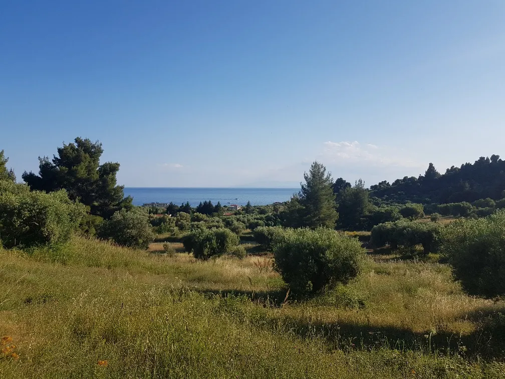 οικόπεδο προς πώληση 4500 τ.μ Κασσάνδρα Χαλκιδική