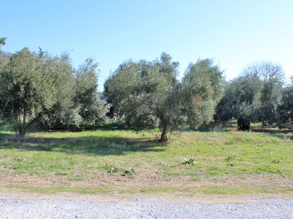οικόπεδο προς πώληση 612 τ.μ Μεθώνη Νομός Πιερίας