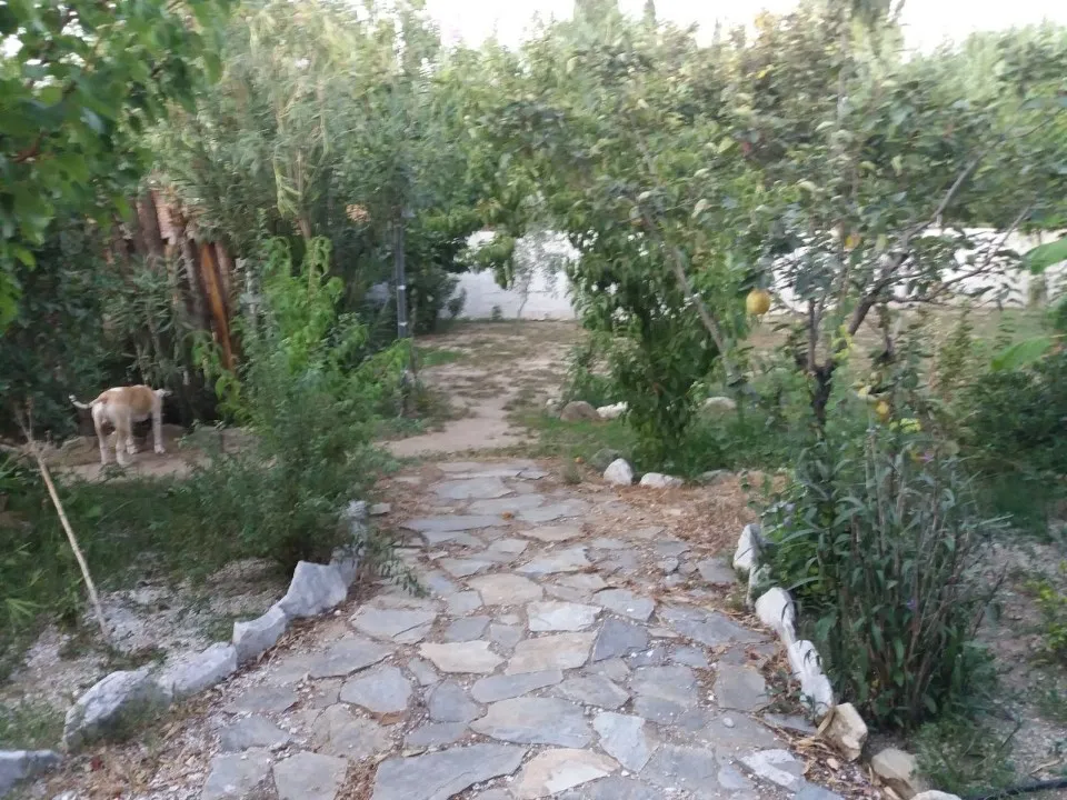 επιχείρηση προς πώληση 320 τ.μ Βόλος Μαγνησία
