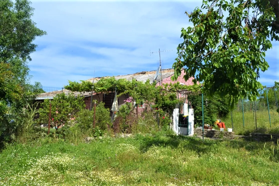 1115