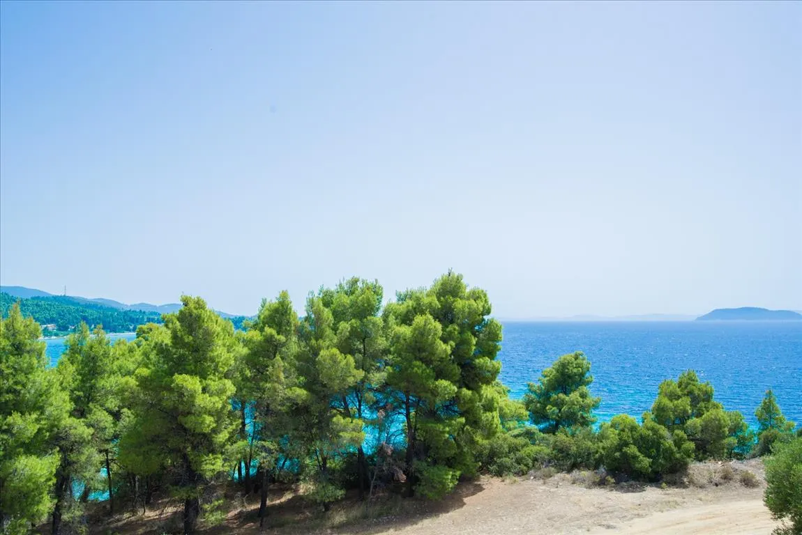 επιχείρηση προς πώληση 420 τ.μ Σιθωνία Χαλκιδική