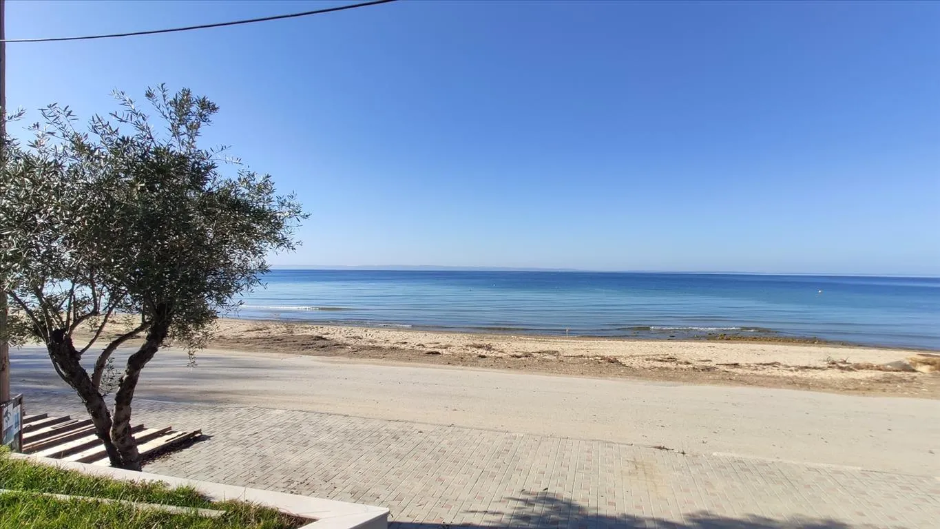 επιχείρηση προς πώληση 70 τ.μ Σιθωνία Χαλκιδική